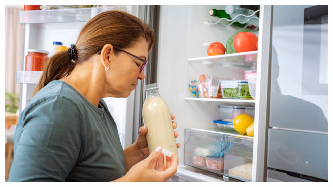 fridge odour fridge odour