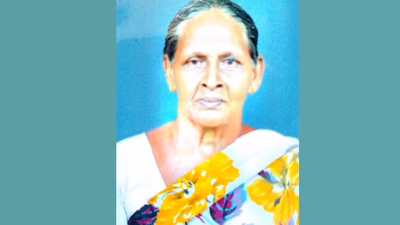 swarm of wasps attack swarm of wasps attack