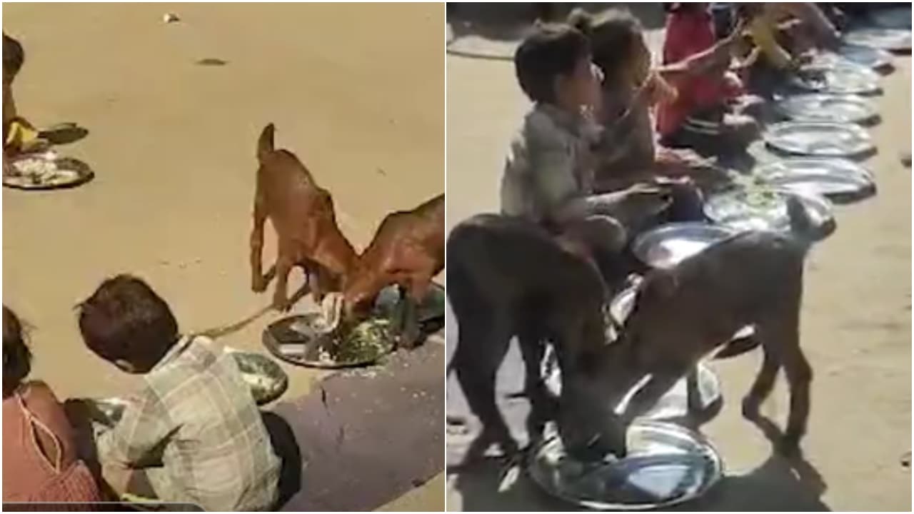 Madhyapradesh Madhyapradesh