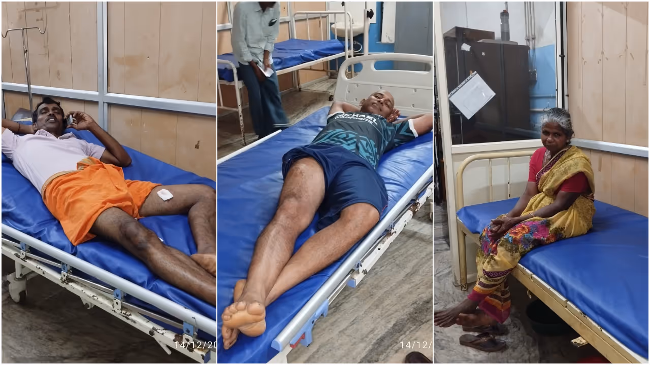 stray dog attack stray dog attack