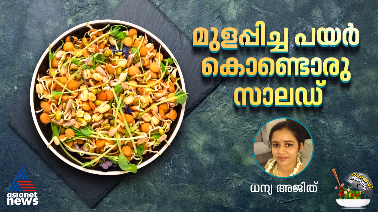 sprouted beans salad recipe sprouted beans salad recipe