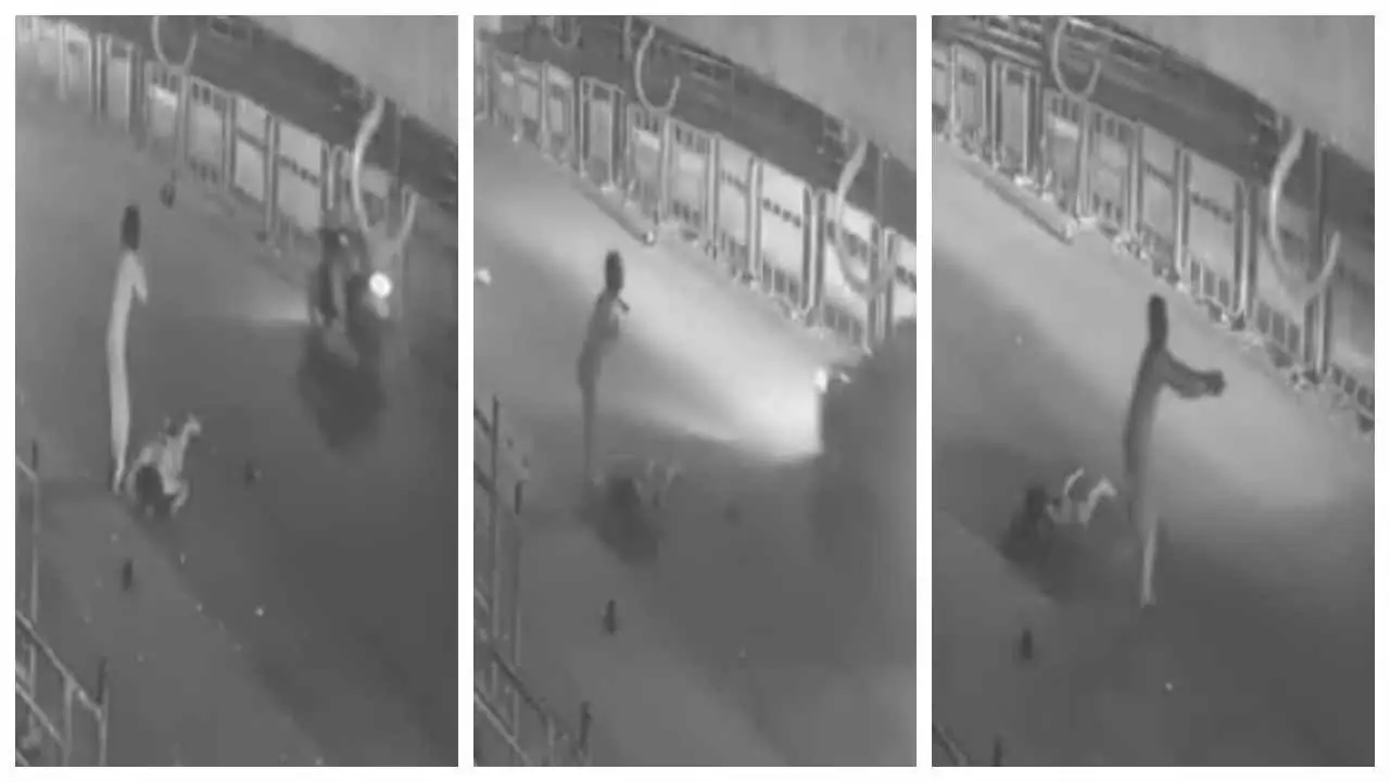 Wife pleads to save husband Wife pleads to save husband