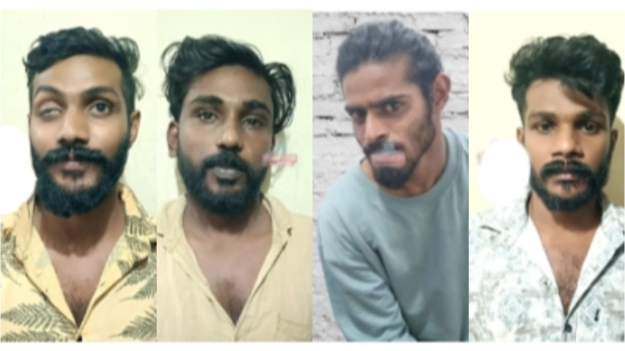 mdma brothers mdma brothers