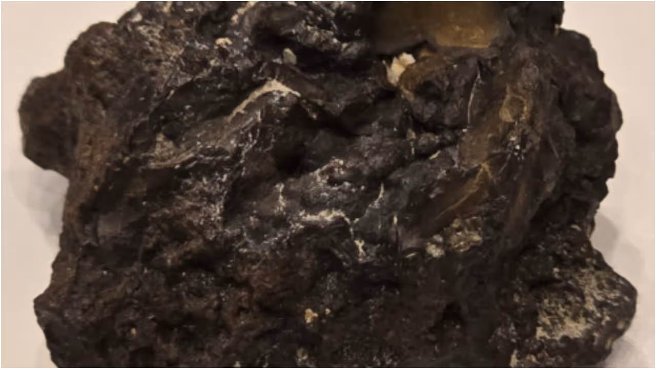 meteorite fragment meteorite fragment