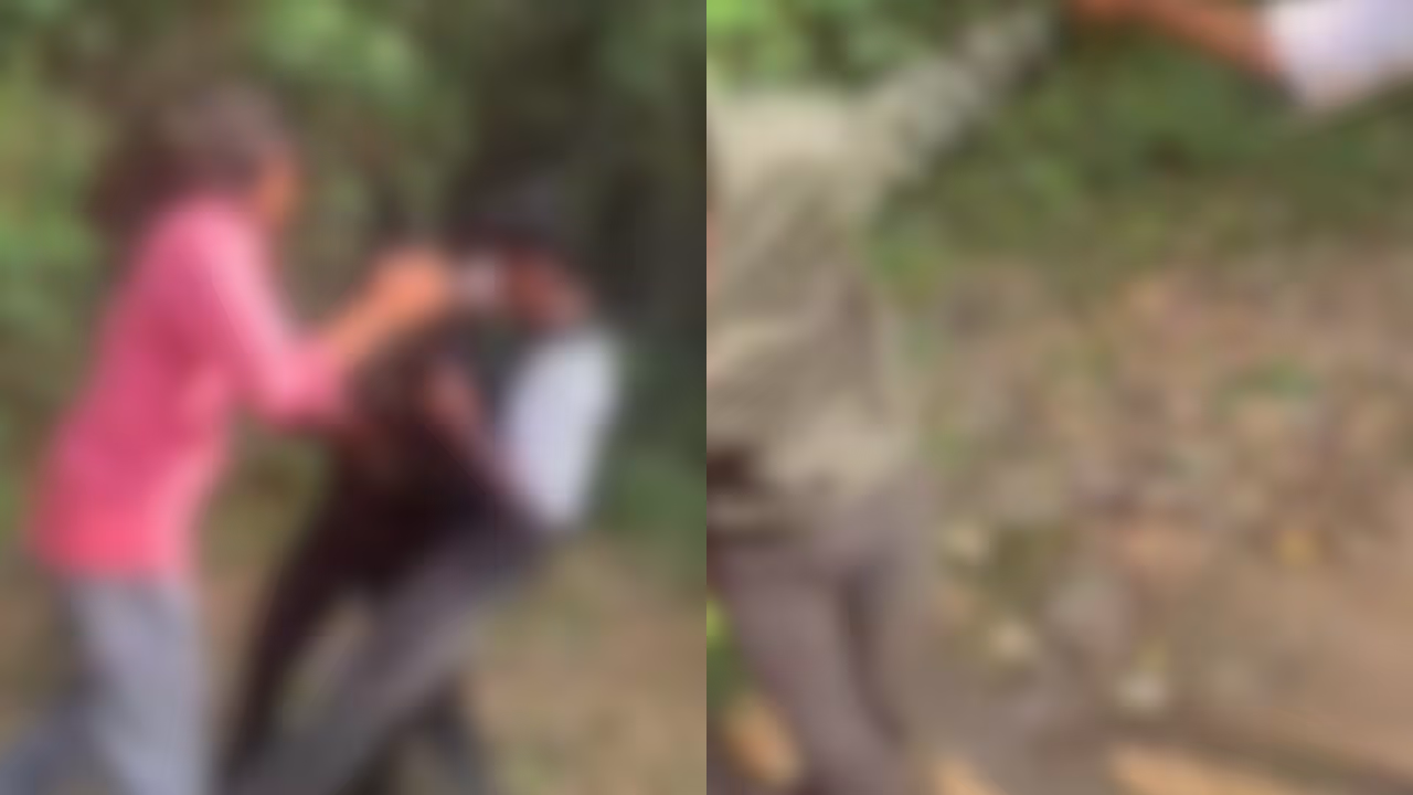 student attack student attack