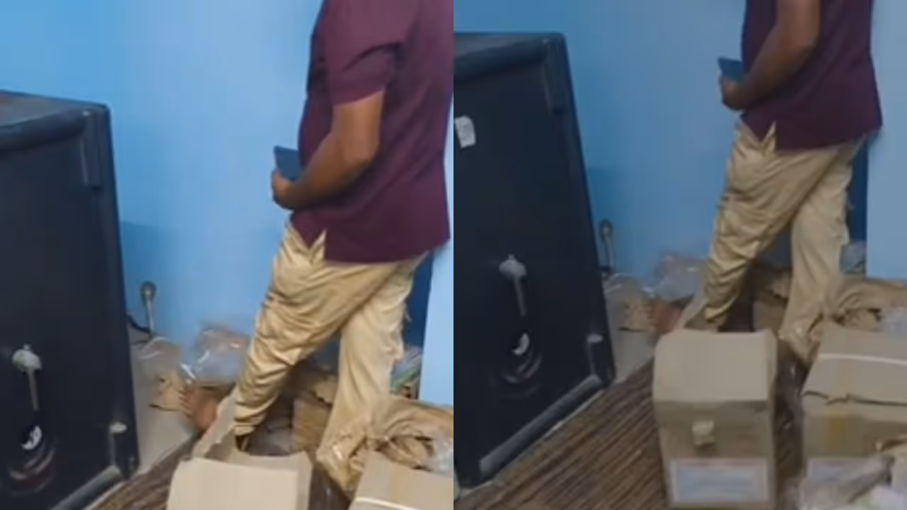 Snake catcher Ansari capturing a cobra from the strong room of Perinjanam Service Co operative Bank Snake catcher Ansari capturing a cobra from the strong room of Perinjanam Service Co operative Bank