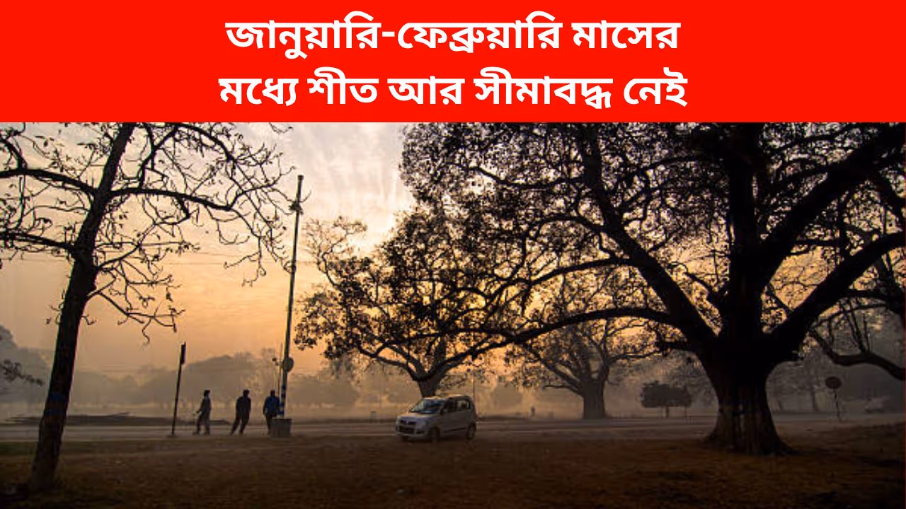 why there is no winter in february feels more like April why there is no winter in february feels more like April