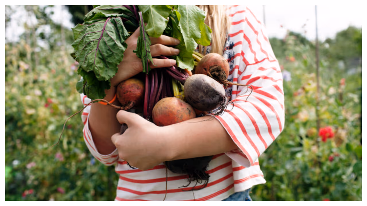 Vegetables Vegetables