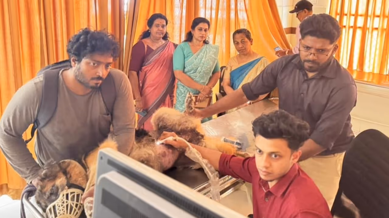 Modern veterinary equipment and the front view of Kudappanakunnu Veterinary Hospital. Modern veterinary equipment and the front view of Kudappanakunnu Veterinary Hospital.