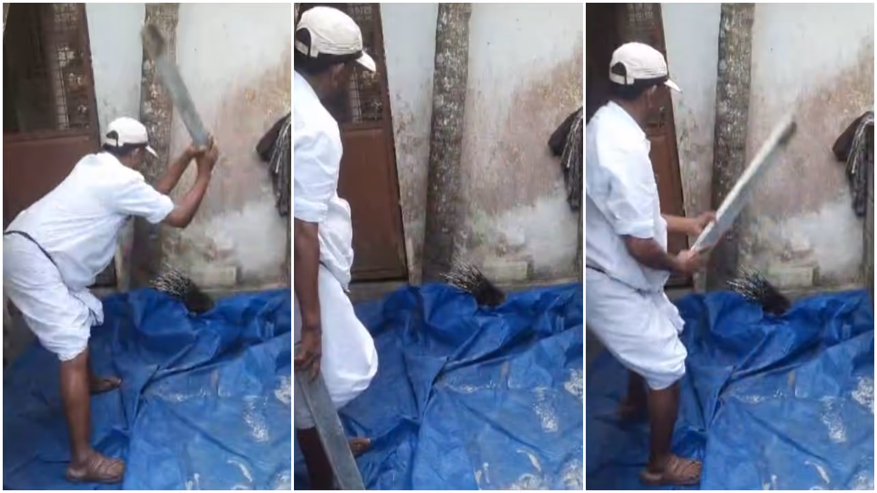 Vellanad Sasi killing a hedgehog Vellanad Sasi killing a hedgehog