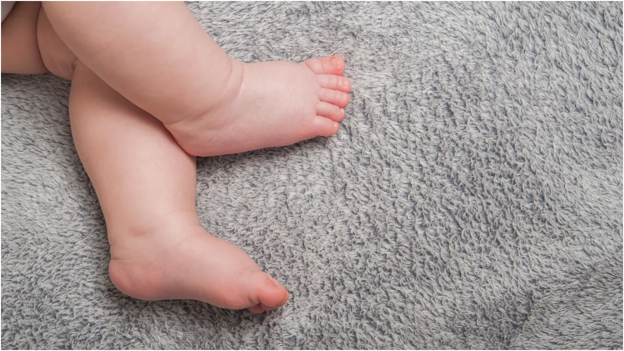 toddler leg toddler leg