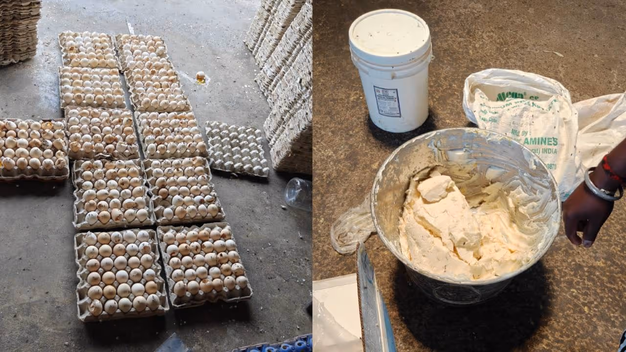 Hyderabad illegal bakery Hyderabad illegal bakery