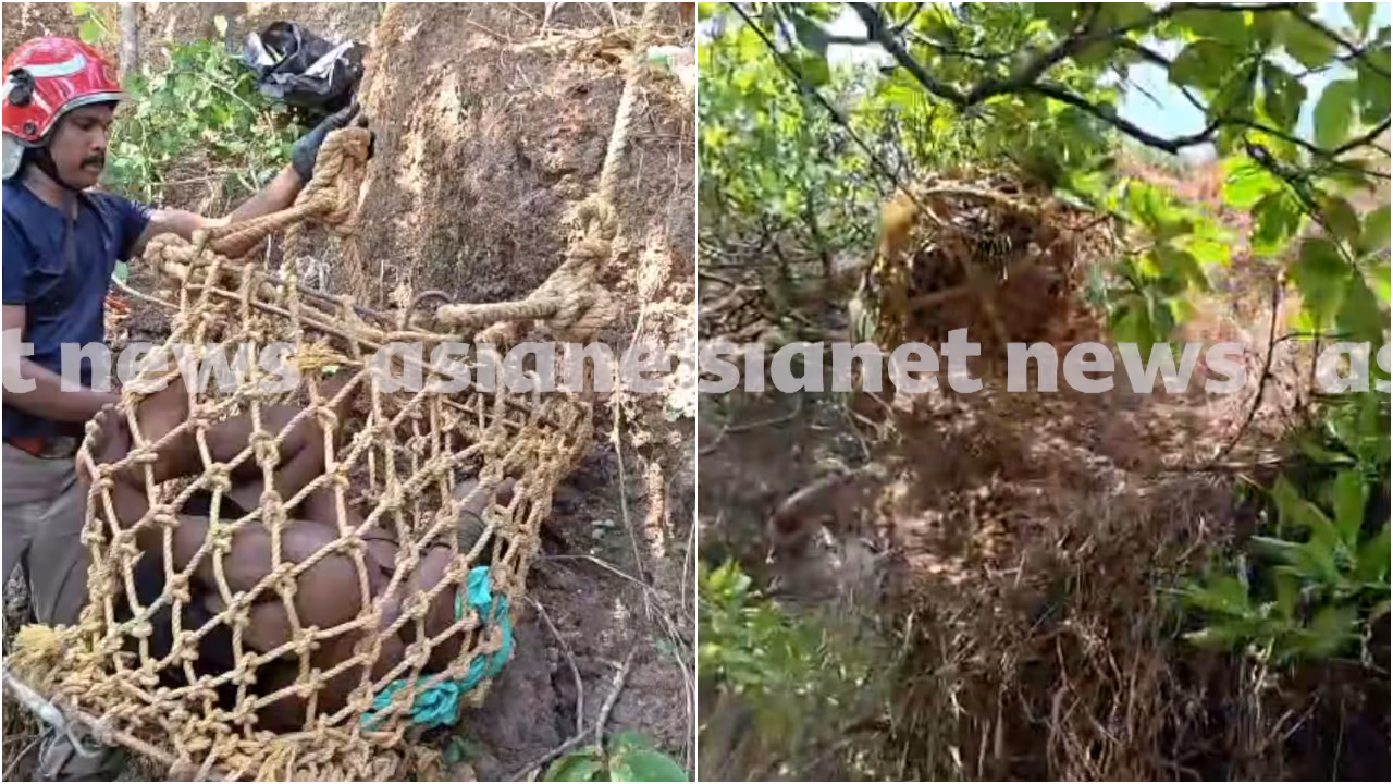 varkala cliff varkala cliff