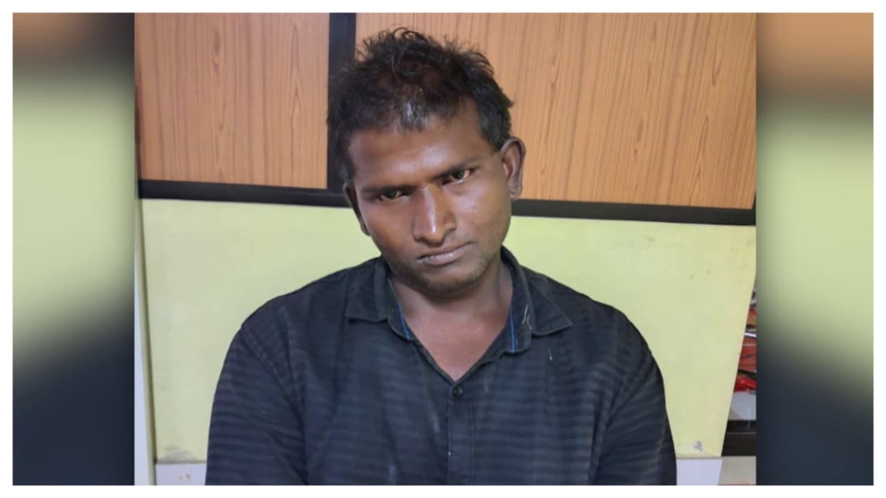 sleepy thief sleepy thief