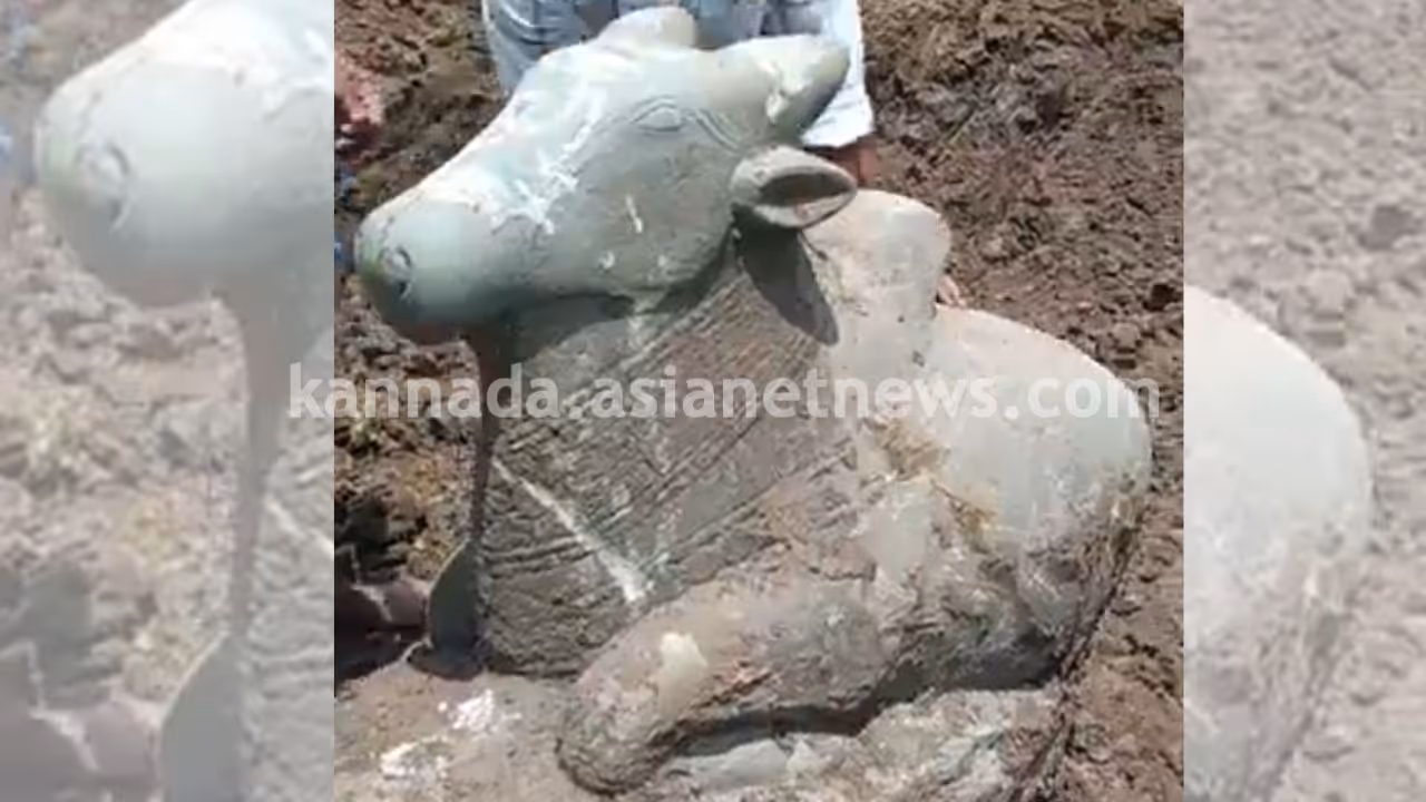 Haveri Nandi Idol Haveri Nandi Idol