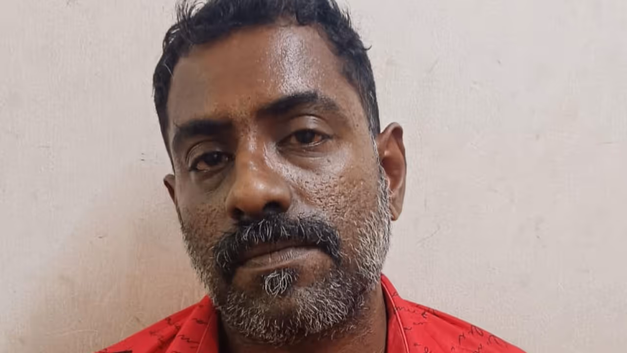 Husband Attacked Wife Husband Attacked Wife