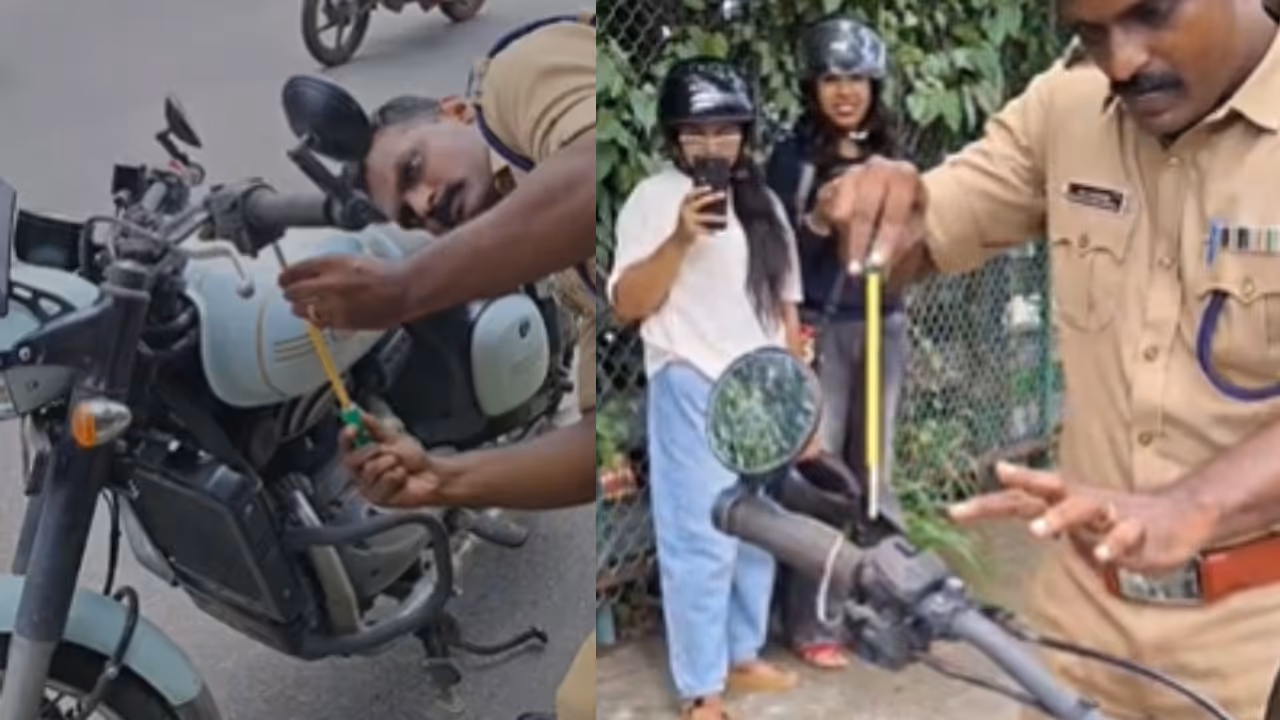 Snake video Snake video