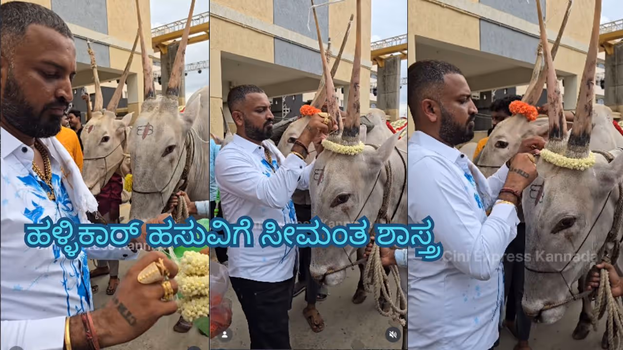 Varthur Santhosh Hallikar cow Baby Shower Varthur Santhosh Hallikar cow Baby Shower