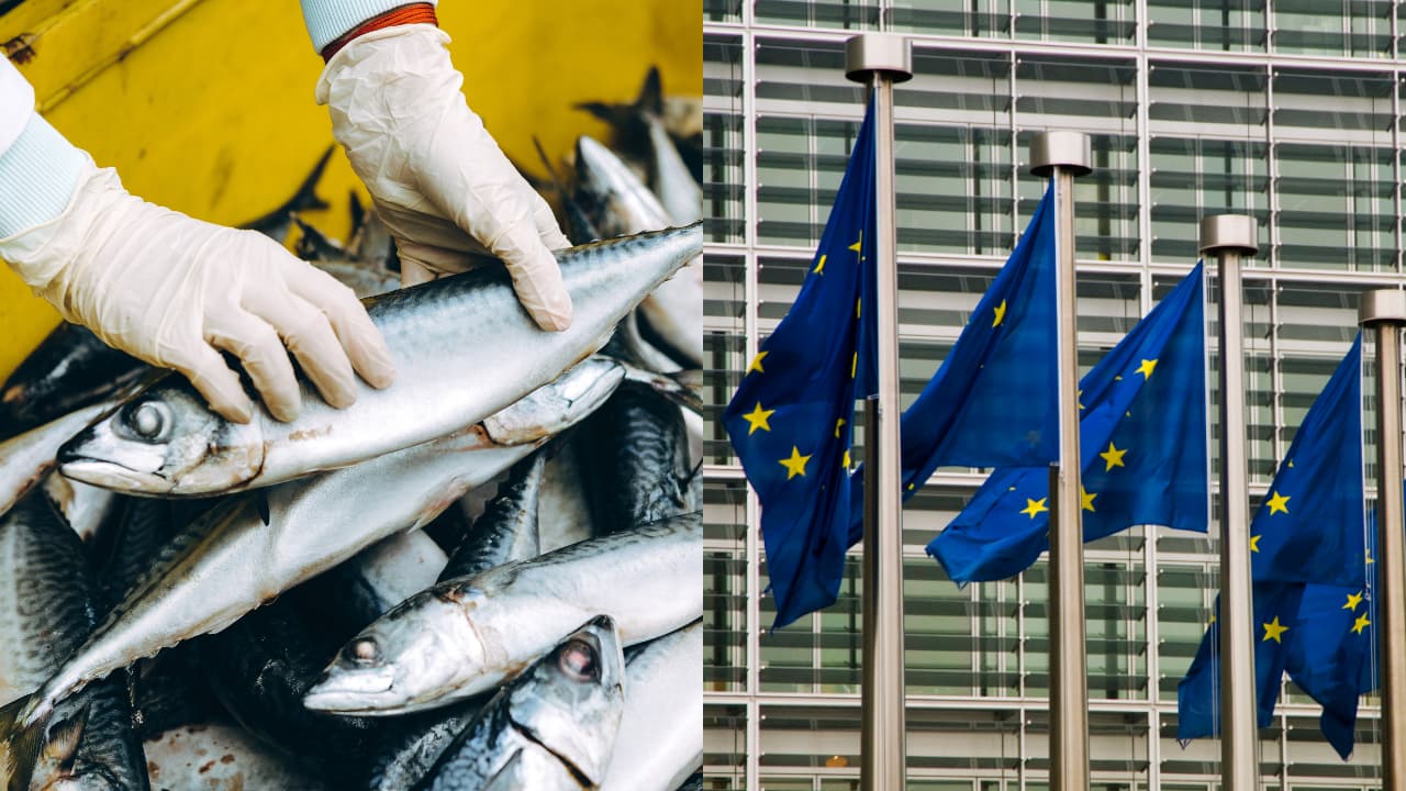 India EU Exports India EU Exports