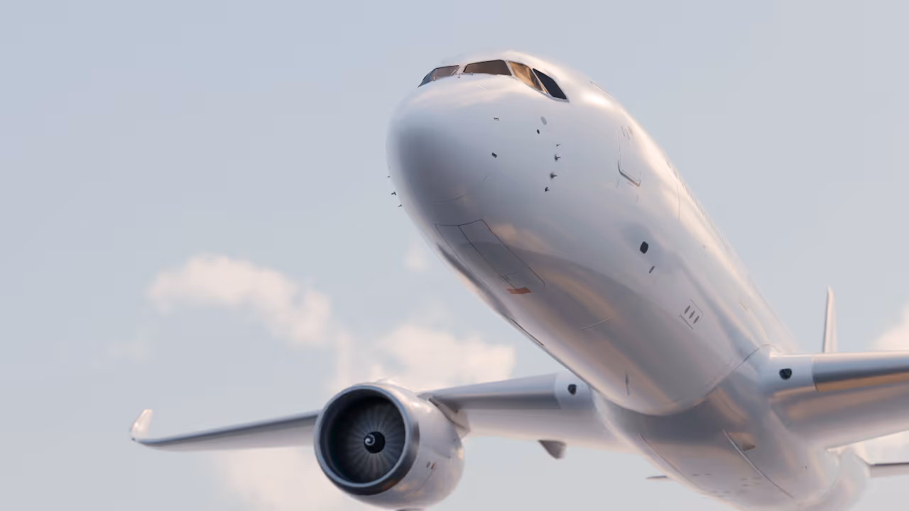 Passenger Flight Passenger Flight