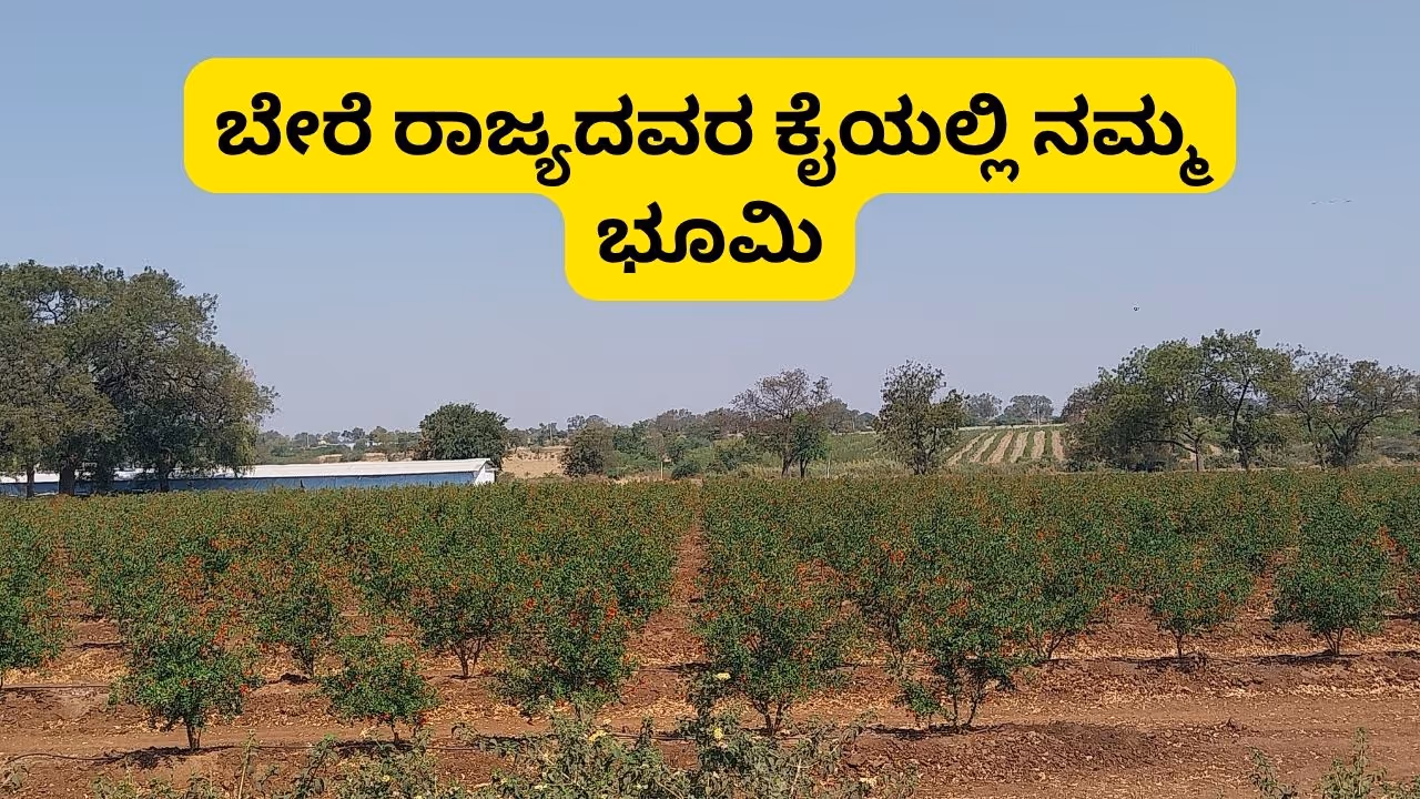 Gadag Farmers Gadag Farmers