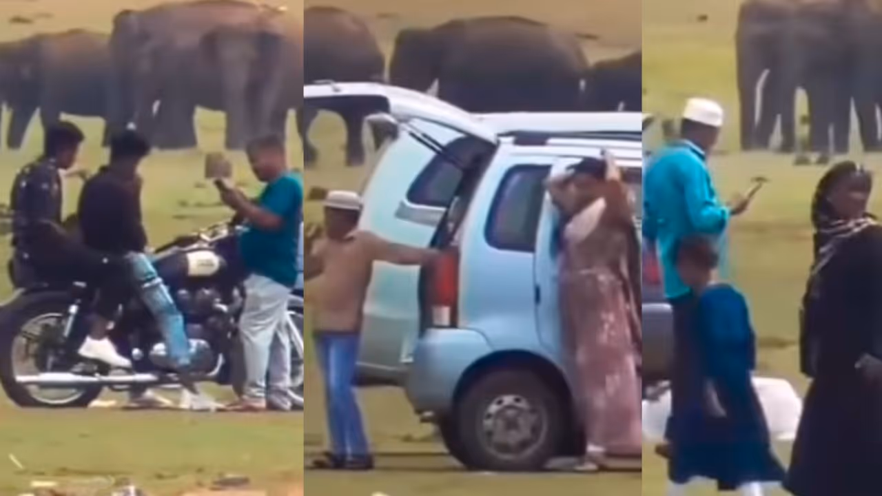 Kabini Backwaters News Kabini Backwaters News