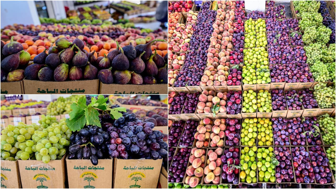 fruits fruits