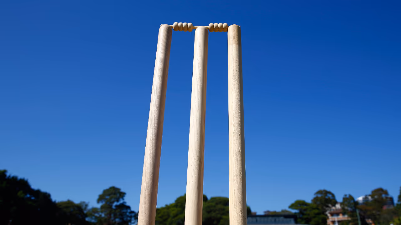 Cricket Cricket