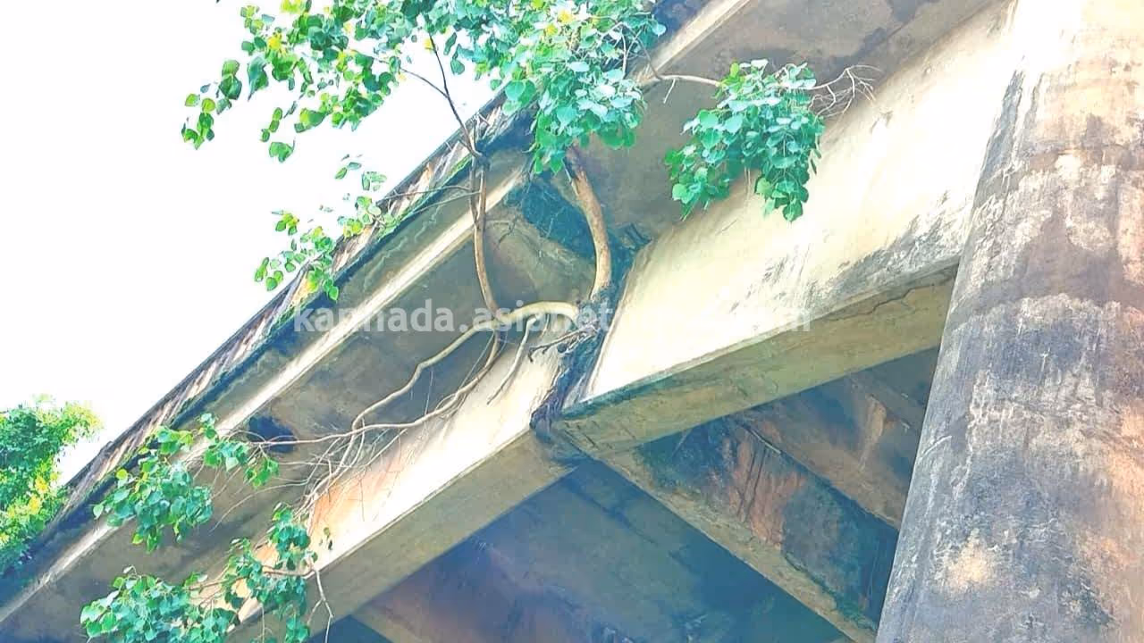 Netravathi Bridge Netravathi Bridge