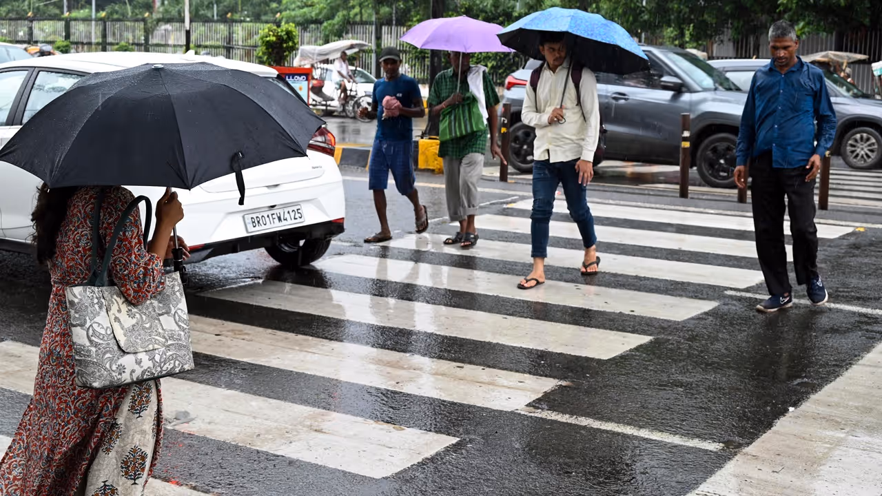 zebra crossing zebra crossing