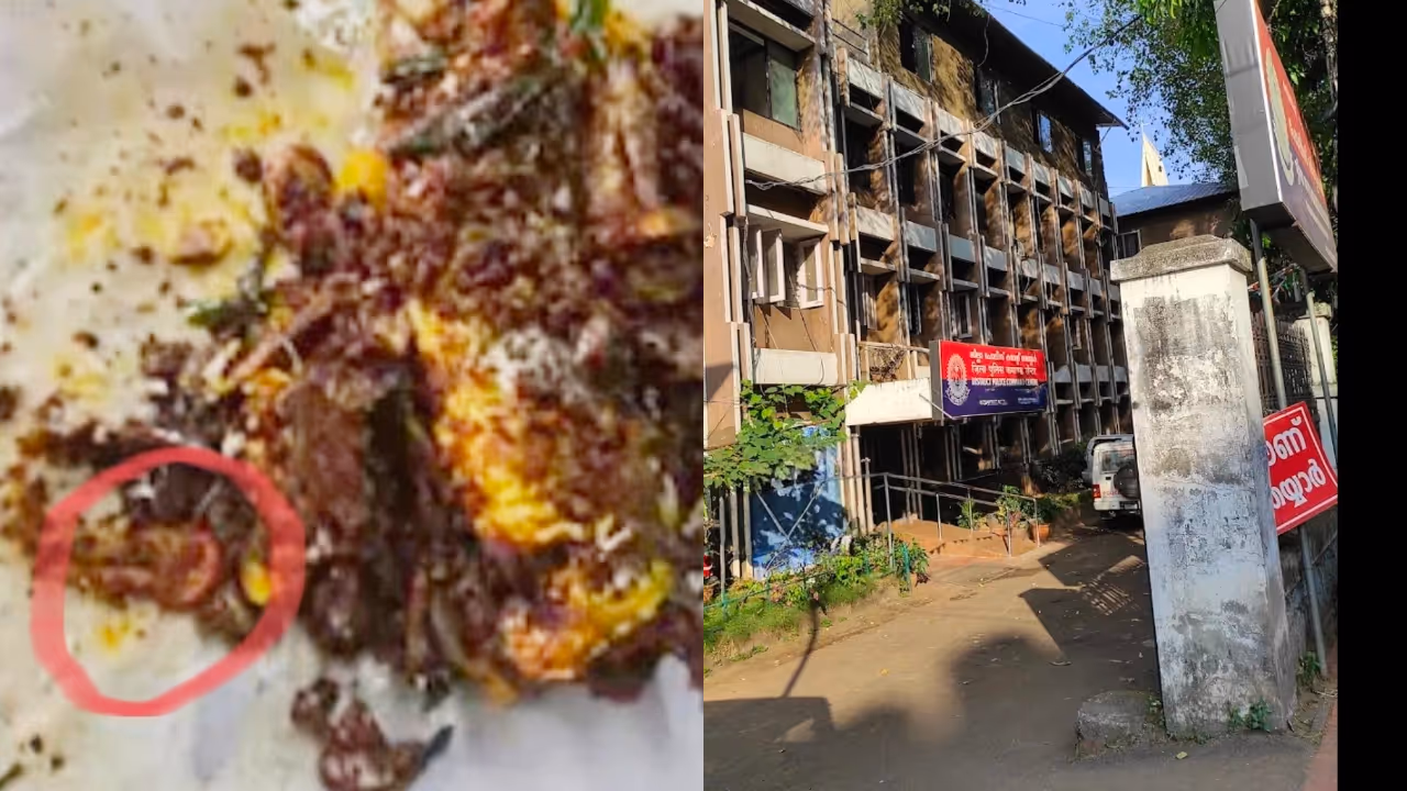 Fried Leech' found in police canteen near Secretariat: Dead leech discovered alongside fried mackerel served with lunch Fried Leech' found in police canteen near Secretariat: Dead leech discovered alongside fried mackerel served with lunch