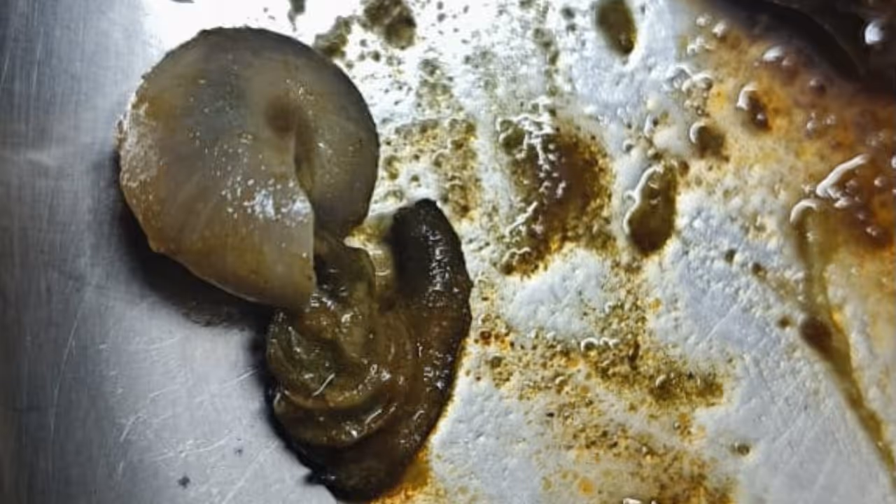 snail in egg curry snail in egg curry