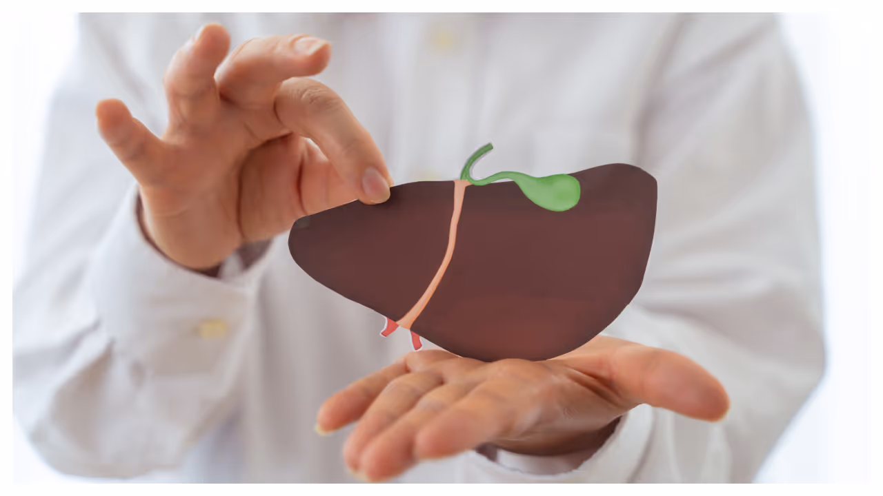 liver fat liver fat