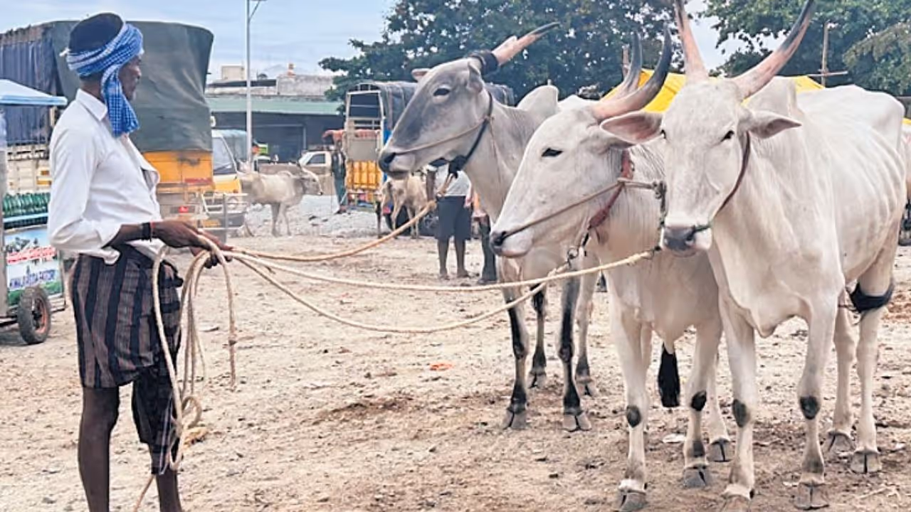 Chitradurga Farmers Chitradurga Farmers
