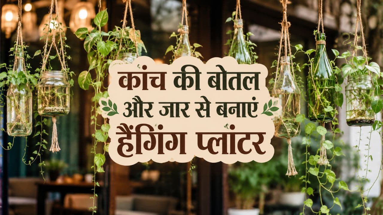 Zero Cost Hanging Planter Zero Cost Hanging Planter