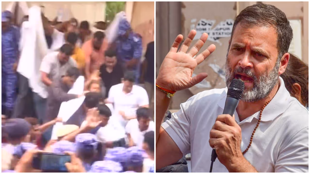 rahul gandhi cjp rahul gandhi cjp