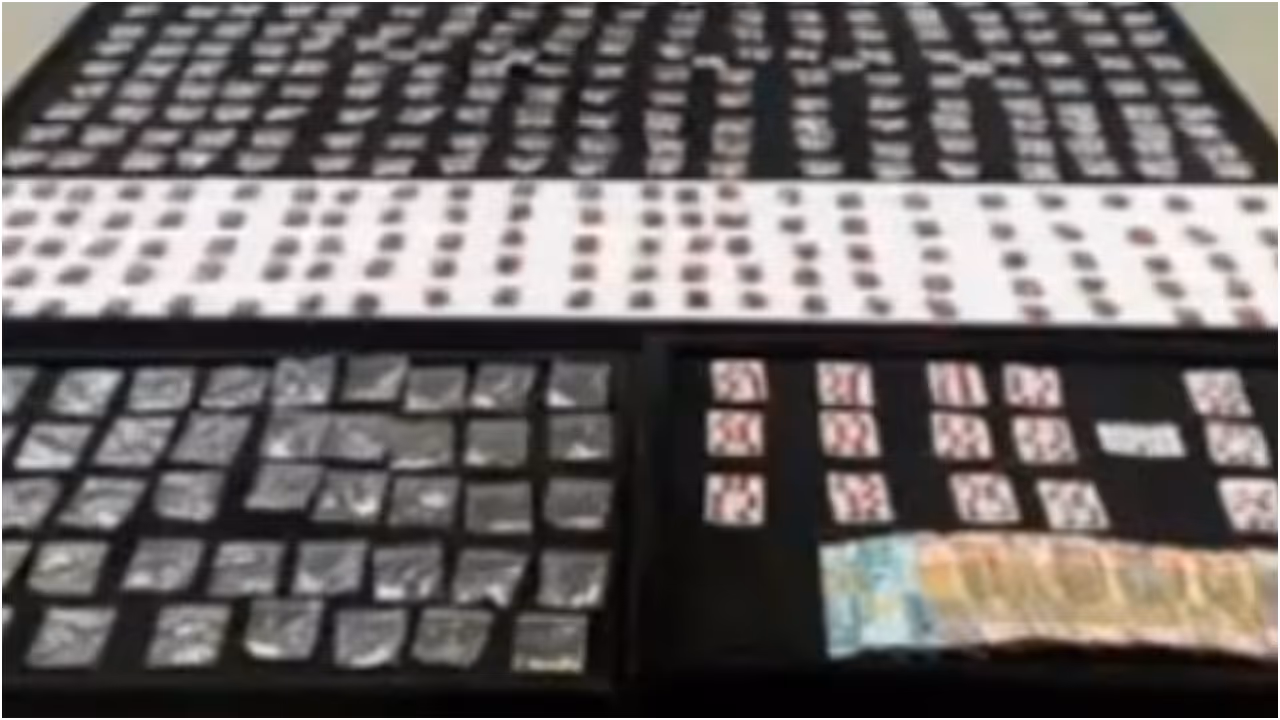 drugs seized drugs seized