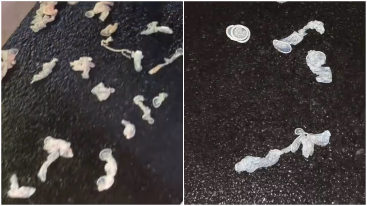 condoms on road condoms on road