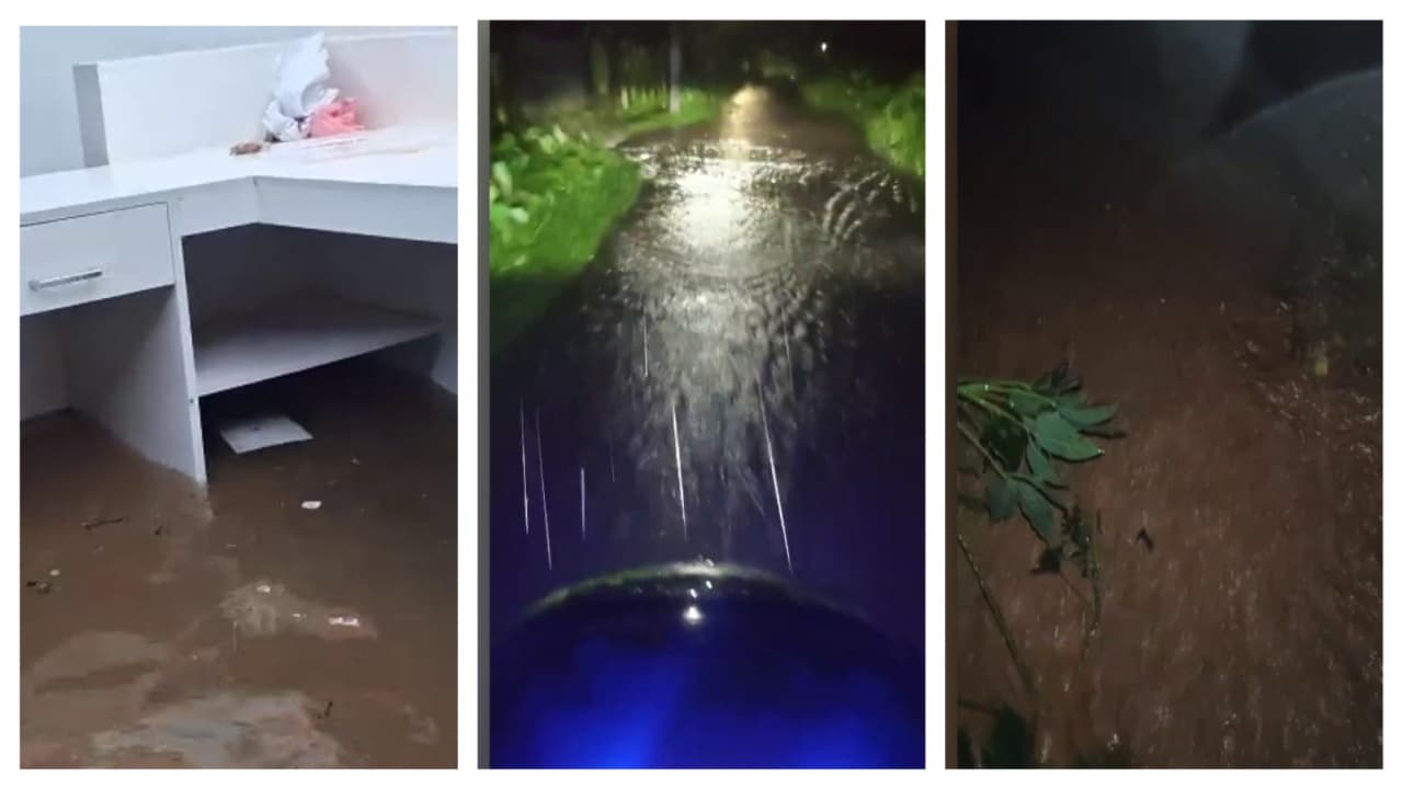 heavy rain heavy rain