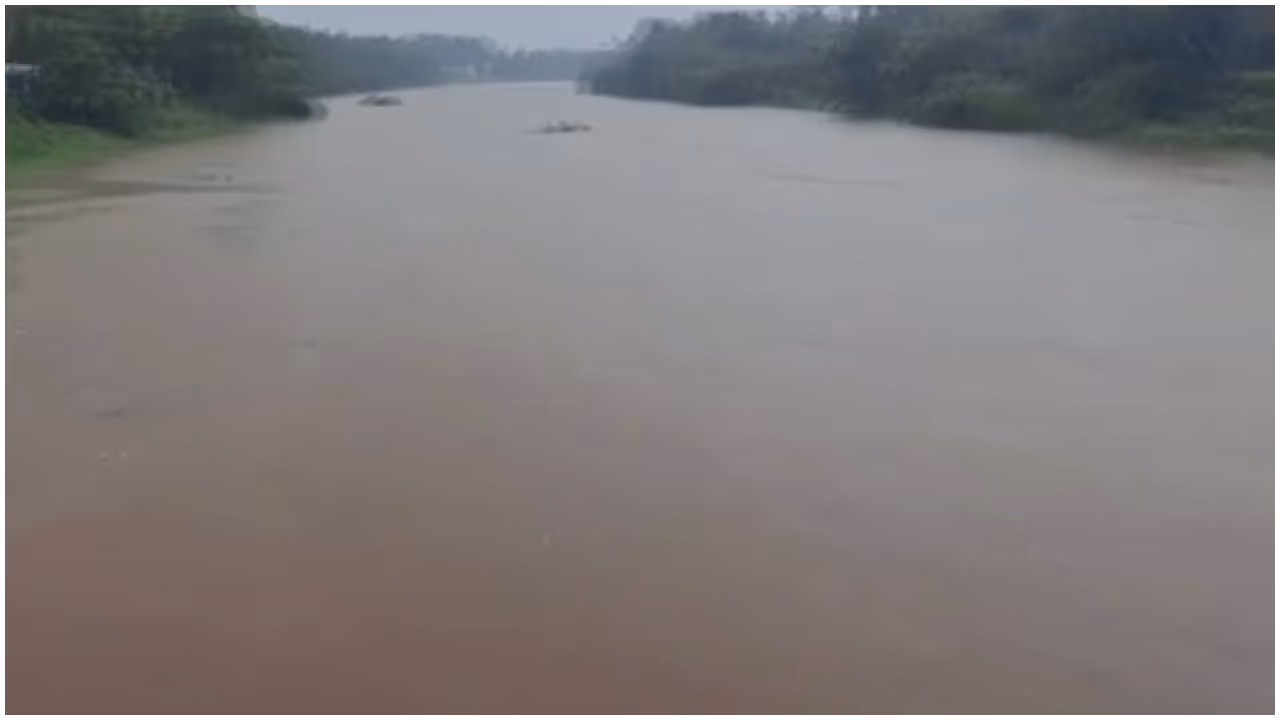 Chalakudy Riverbanks Chalakudy Riverbanks