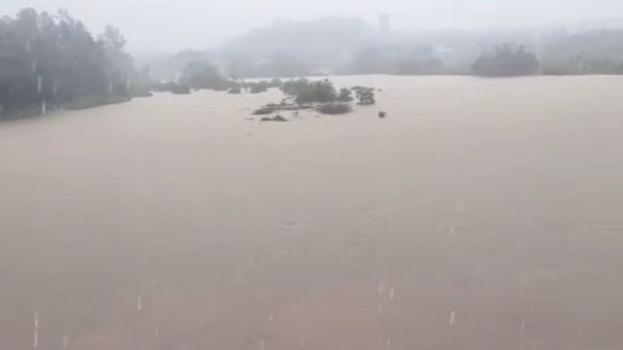 Tunga Tunga