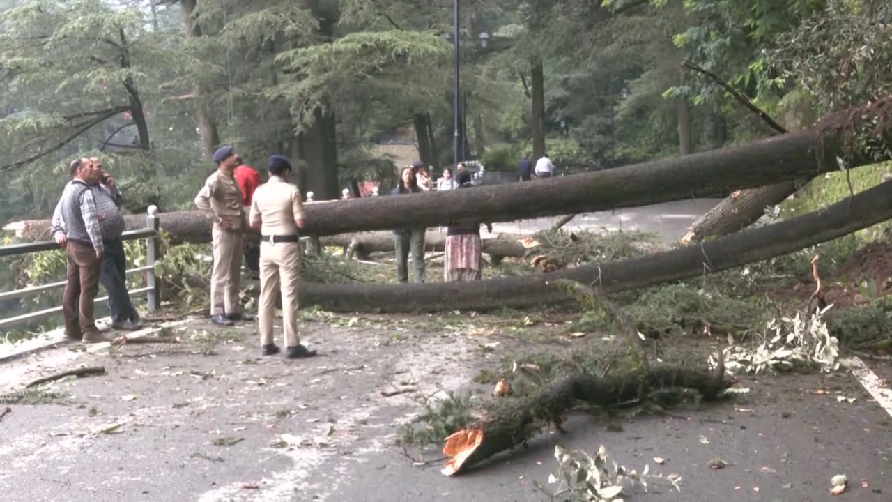 India Rain Disaster India Rain Disaster
