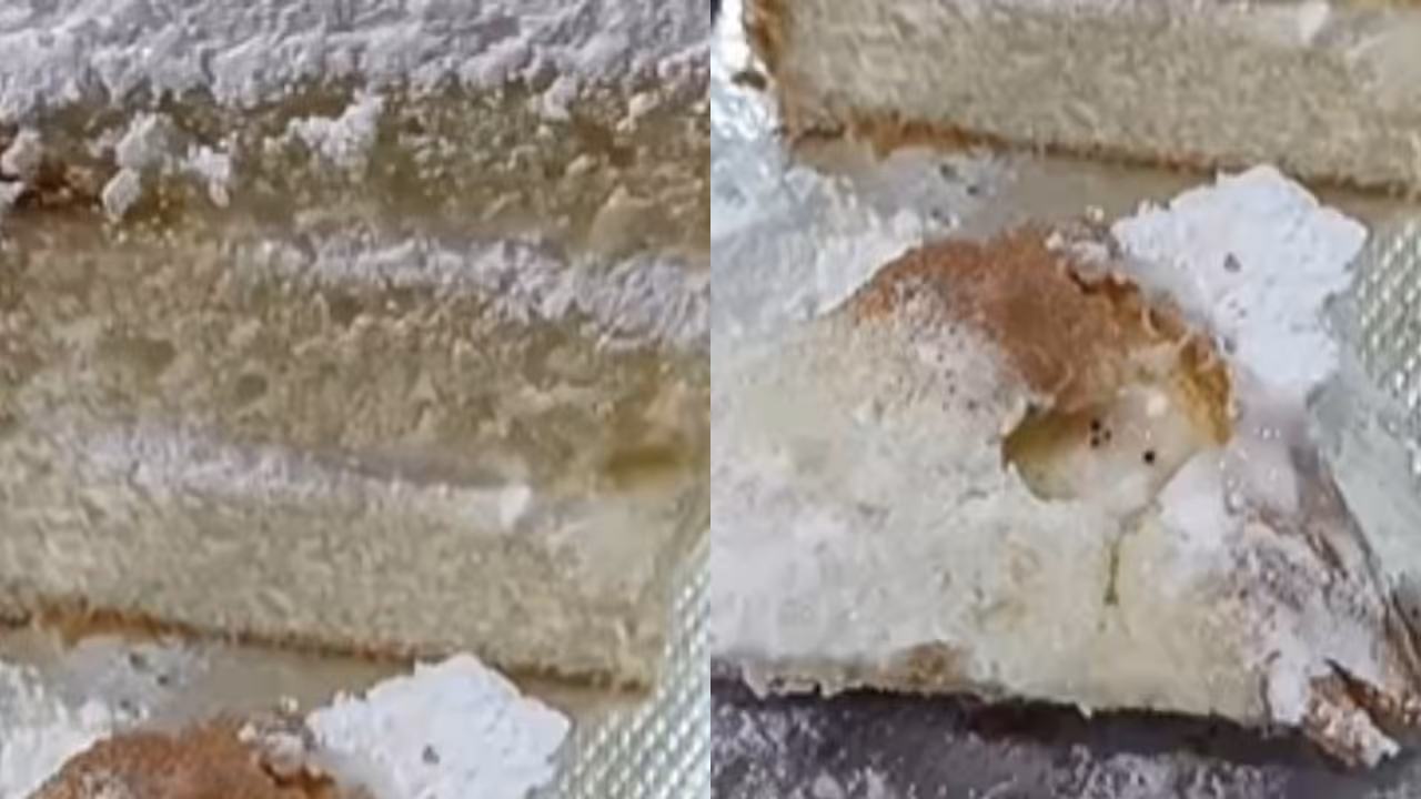 kasaragod bakery sealed after family falls ill from moldy cake kasaragod bakery sealed after family falls ill from moldy cake