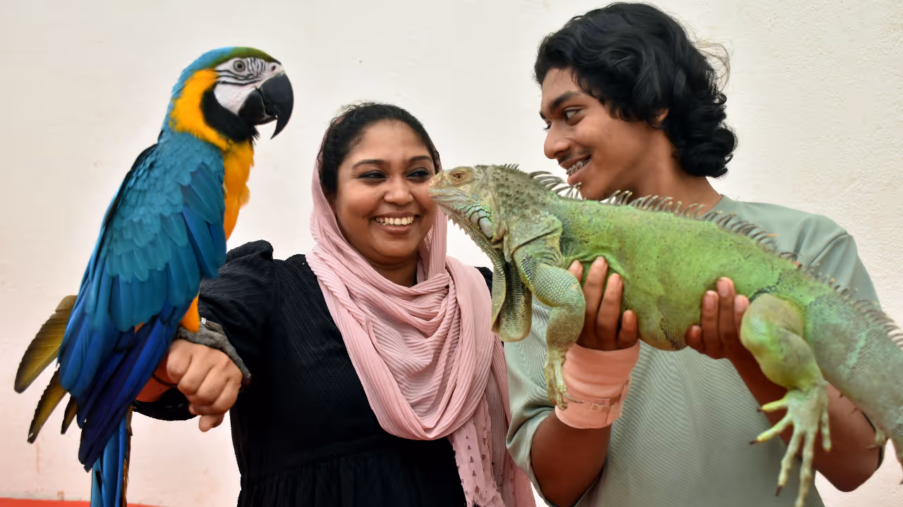 Pet Show – Only three days left Pet Show – Only three days left