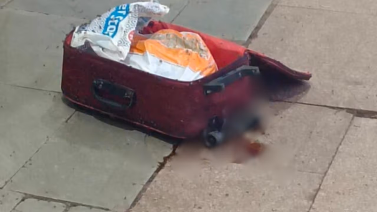 dead body abandoned dead body abandoned