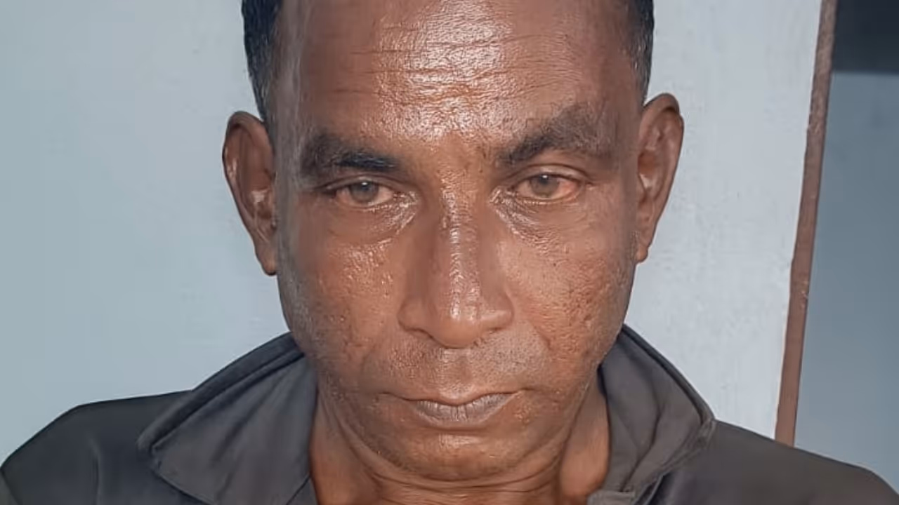 bedridden woman molested bedridden woman molested