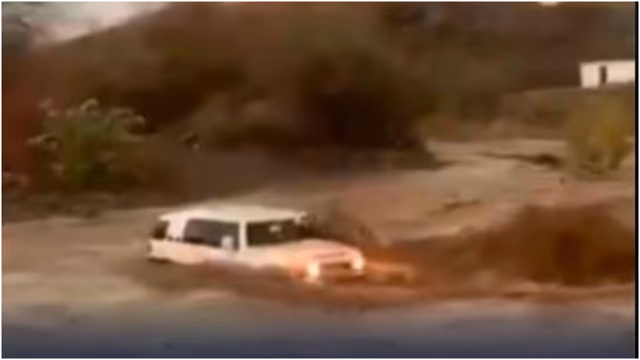 driver arrested in saudi driver arrested in saudi