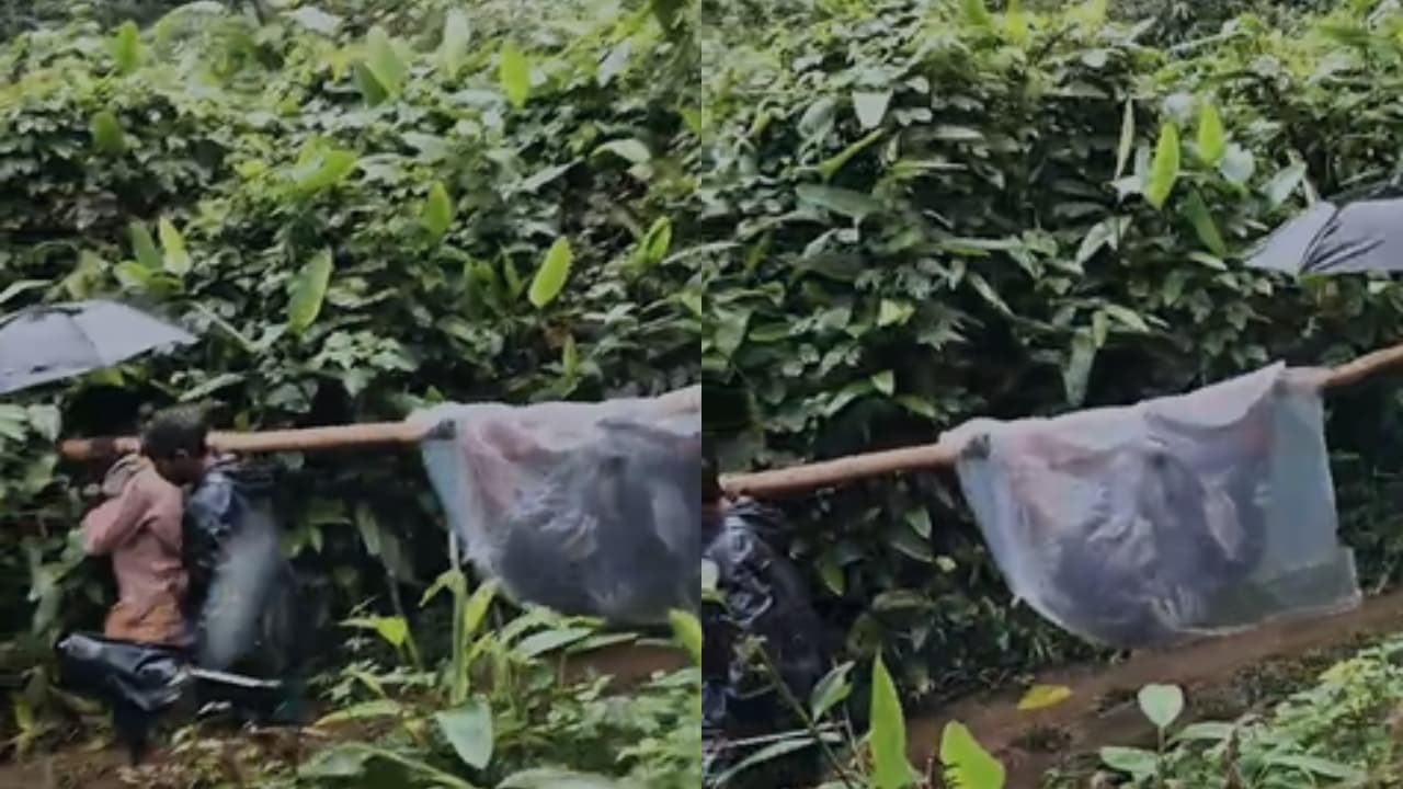 patient carried on makeshift stretcher to hospital in idamalakudy amid road woes patient carried on makeshift stretcher to hospital in idamalakudy amid road woes