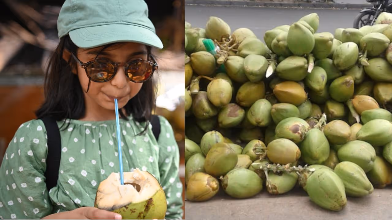 Bengaluru tender coconut Bengaluru tender coconut