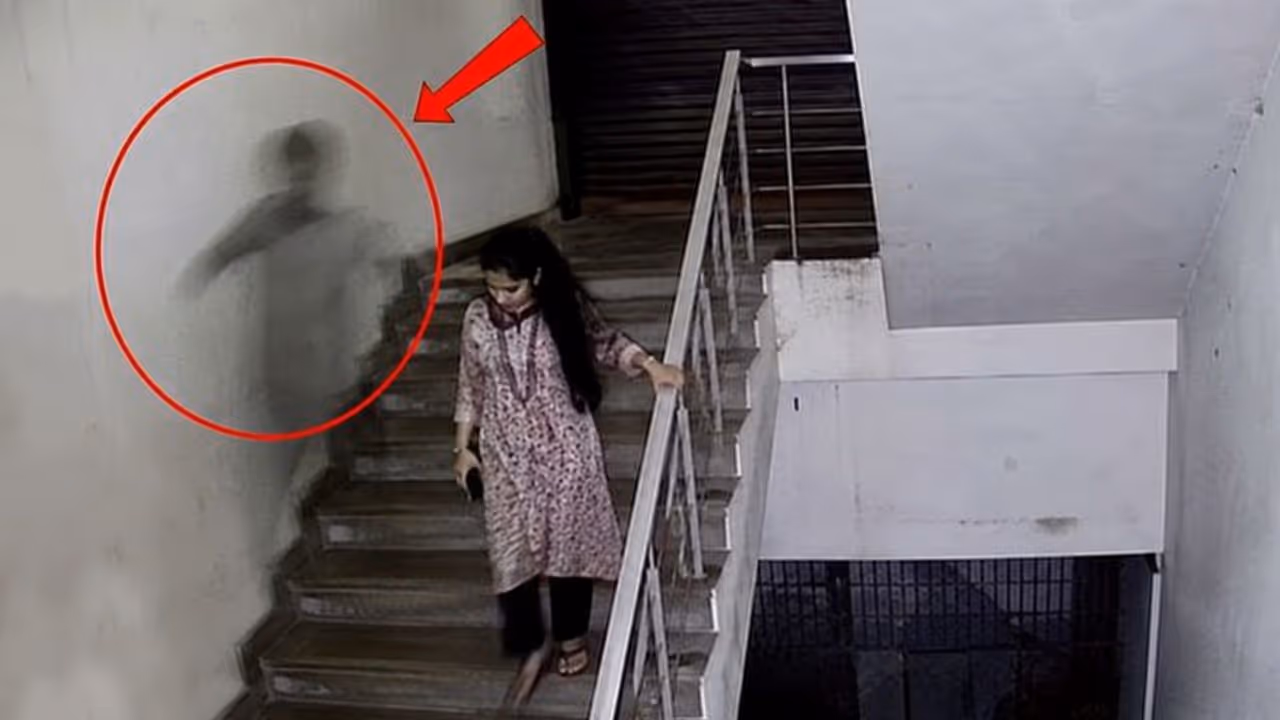 Ghost Ghost